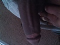 01c02010.jpg