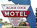 Filename=75d5fbb3.jpg
Filesize=84KB
Dimensions=376x334
Date added=Dec 05, 2012 75d5fbb3.jpg