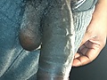 3699b552.JPG