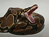 8ef5069f.jpg