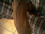 62679d87.jpg