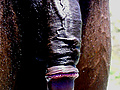 Filename=7092d669.jpg
Filesize=385KB
Dimensions=1000x1334
Date added=Jan 03, 2013 7092d669.jpg