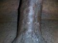 a100cb68.jpg