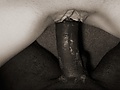 Filename=68c2550f.jpg
Filesize=83KB
Dimensions=800x464
Date added=Jan 12, 2013 68c2550f.jpg