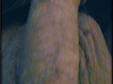 1c4723c9.jpg