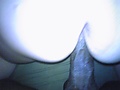 6faa9d28.JPG
