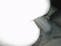70f1571e.JPG