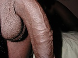 6cdb8543.jpg