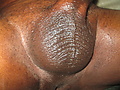 cba956d0.JPG