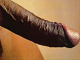 ef5d78d9.jpg