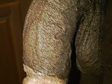 d98d0dc3.jpg