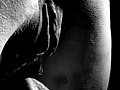 Filename=0eb82c6a.jpg
Filesize=140KB
Dimensions=498x750
Date added=Feb 21, 2013 0eb82c6a.jpg