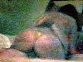 5aca5861.jpg