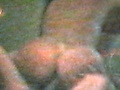 5c981c9b.jpg