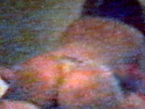 59c15c92.jpg