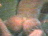 5c981c9b.jpg