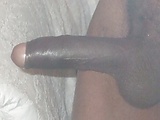 06f03d9d.jpg