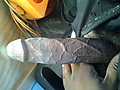 Filename=21be2885.jpg
Filesize=129KB
Dimensions=640x480
Date added=Mar 27, 2013 21be2885.jpg