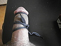 Filename=ebd5f691.jpg
Filesize=228KB
Dimensions=1000x750
Date added=Mar 28, 2013 ebd5f691.jpg