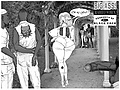 f6b07b02.jpg
