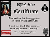 00431a49.jpg