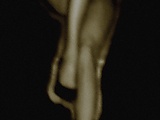 929fec2c.JPG