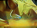 Filename=2c3d7587.jpg
Filesize=166KB
Dimensions=1620x1244
Date added=Apr 18, 2013 2c3d7587.jpg