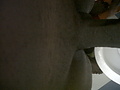 Filename=b017dd5f.jpg
Filesize=216KB
Dimensions=1600x1200
Date added=May 07, 2013 b017dd5f.jpg