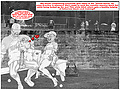Filename=656e25cb.jpg
Filesize=256KB
Dimensions=800x600
Date added=May 09, 2013 656e25cb.jpg