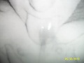 f04a595b.jpg