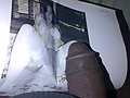 18268019.jpg