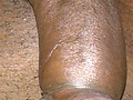 18565f06.jpg