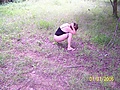 6f08f496.JPG