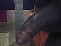 84a2af43.jpg