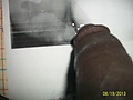 dde65354.jpg