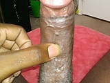 692e5c05.jpg