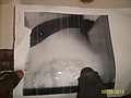 b795534f.jpg