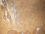 b52e444c.jpg