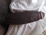 499575f3.jpg