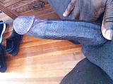 58531044.jpg