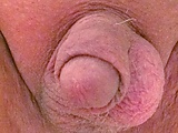 46e37c71.jpg