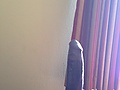 16486a73.jpg