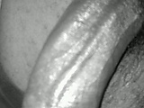 6f804048.jpg