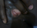 Filename=6981f5e9.jpg
Filesize=120KB
Dimensions=800x600
Date added=Oct 27, 2013 6981f5e9.jpg