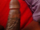 7b884a42.jpg