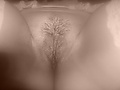 75a81a7e.JPG