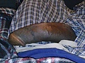 87d8172a.jpg