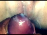 d1bc5e18.jpg
