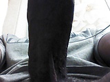 f6a2f044.jpg