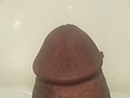 Filename=bdeec6a3.jpg
Filesize=822KB
Dimensions=3264x2448
Date added=Dec 12, 2013 bdeec6a3.jpg